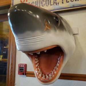 Meet your Posher, Benjamin